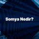 Somya Ne Demek?